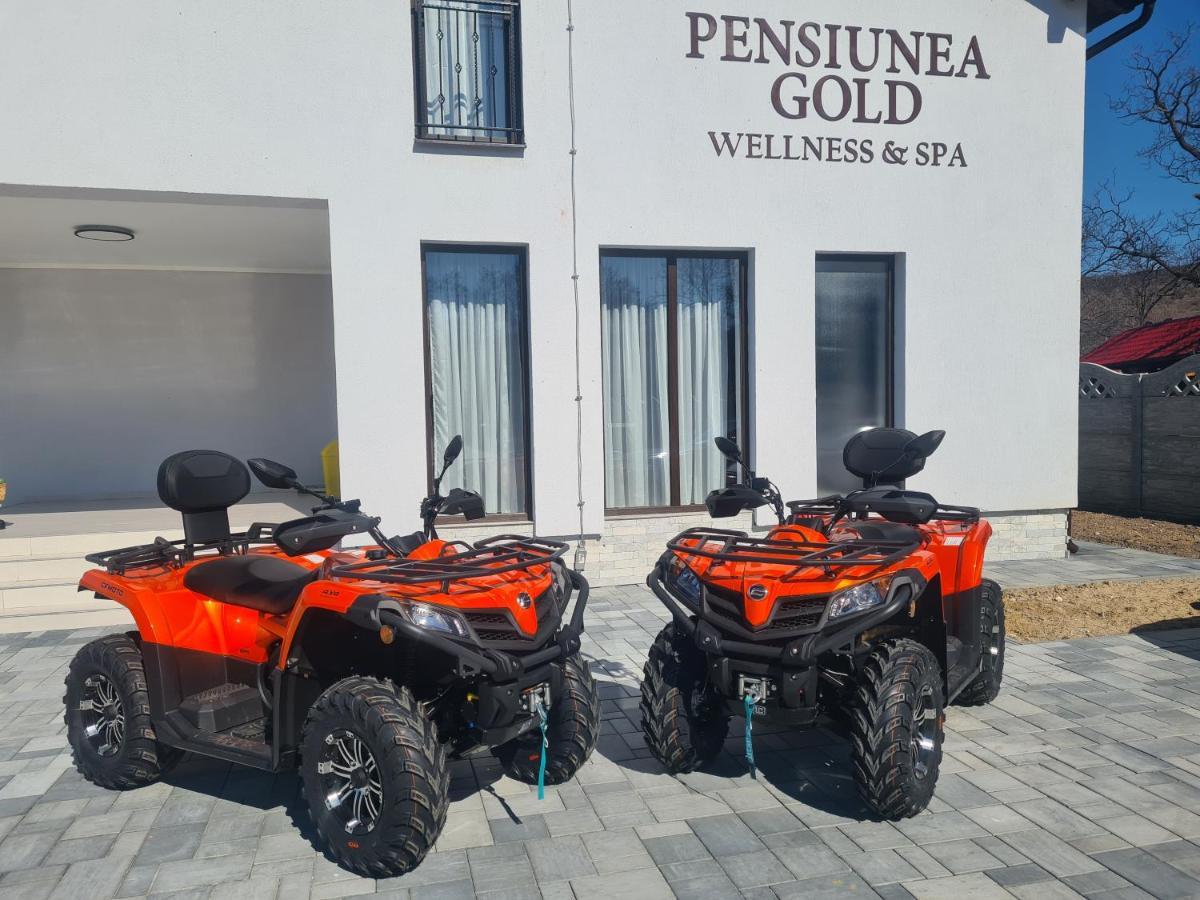 Pensiunea Gold Wellness&Spa Chiscau Экстерьер фото